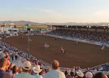 Box Elder County Fairgrounds – Top Sites – Tremonton, UT Box Elder County Fairgrounds - Top Sites - Tremonton, UT