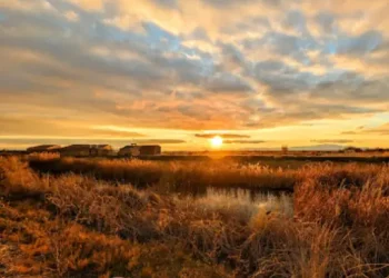 Farmington Bay Waterfowl Management Area – Things to do – Davis County, UT Farmington Bay Waterfowl Management Area - Things to do - Davis County, UT