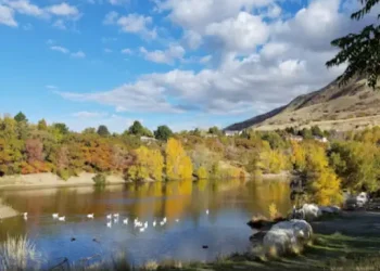 Farmington Pond – Things to do – Davis County, UT Farmington Pond - Things to do - Davis County, UT