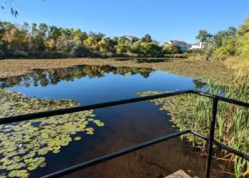 Glasmann Pond – Things to do – Ogden, UT Glasmann Pond - Things to do - Ogden, UT