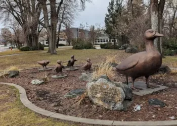 Layton Commons Park – Top Sites – Layton, UT Layton Commons Park - Top Sites - Layton, UT