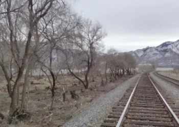 Neverland Forest – Things to do – Marriott-Slaterville, UT Neverland Forest - Things to do - Marriott-Slaterville, UT