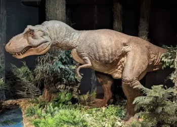 Ogden_s George S. Eccles Dinosaur Park – Top Sites – Ogden, UT Ogden_s George S. Eccles Dinosaur Park - Top Sites - Ogden, UT