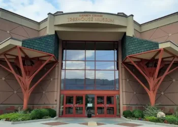 Treehouse Children_s Museum – Top Sites – Ogden, UT Treehouse Children_s Museum - Top Sites - Ogden, UT